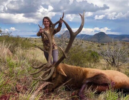 wta_795_MVH98W_JamesGlossonJr.Elk1