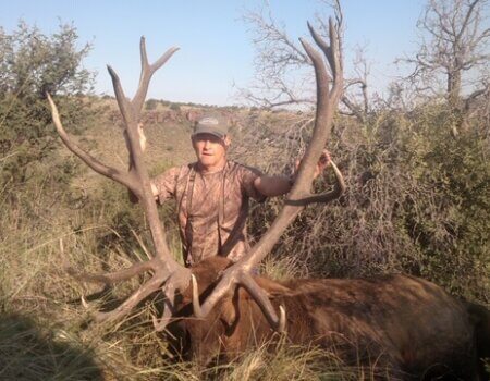 wta_795_O84XI2_JamesGlossonJr.Elk2