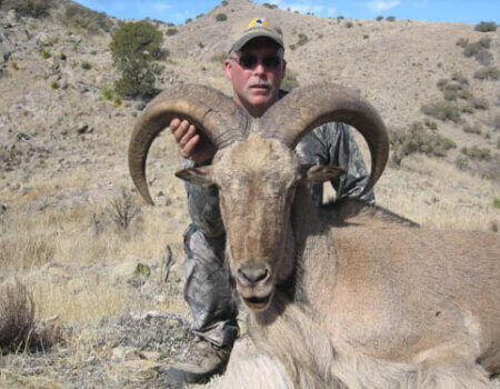 wta_795_PPGUJ3_078-aoudad-38