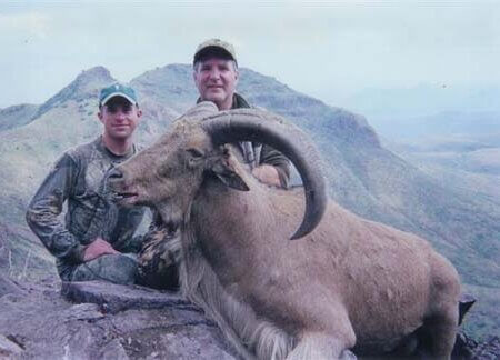 wta_795_PU8731_078-aoudad-4