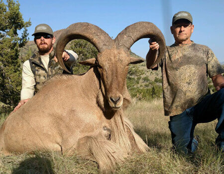 wta_795_SD922T_IMG_20170912_094025937