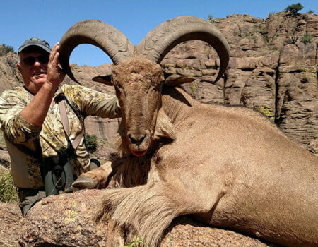 wta_795_VX77GP_IMG_20170918_130403838