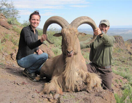wta_795__featured_7RSRC9_078-aoudad-30