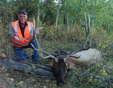 wta_796_0GDANC_043_elk-42