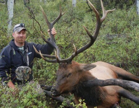 wta_796_28MRRP_043_elk-6