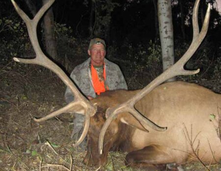 wta_796_3BA582_043_elk-49