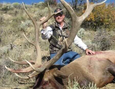 wta_796_44TSFR_043_elk-28