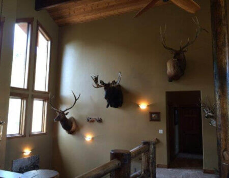 wta_796_84UZ7H_photo2