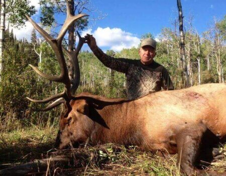 wta_796_95GW8Y_043_elk-1