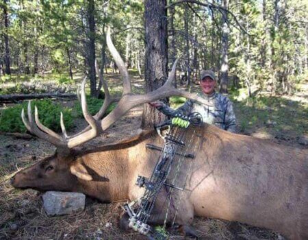 wta_796_9C8B67_043_elk-13