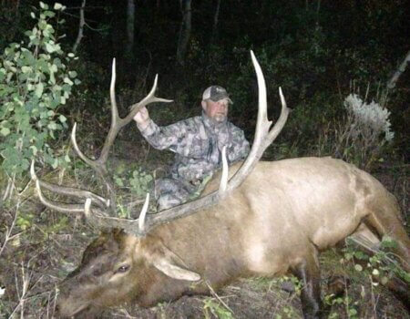 wta_796_CJXK54_043_elk-2