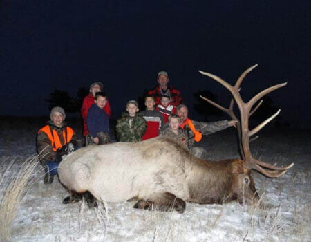 wta_796_D7TB3S_043_elk-56