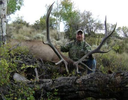 wta_796_DM5FVR_043_elk-16