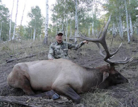 wta_796_HQWL99_043_elk-55