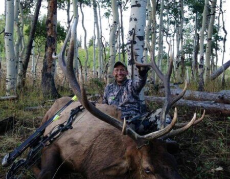 wta_796_ITXLZE_043_elk-12