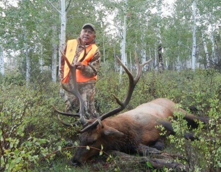 wta_796_KJDR1O_043_elk-5