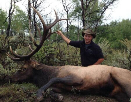 wta_796_XNXM07_043_elk-9