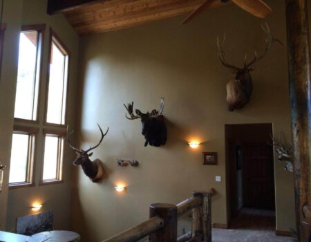 wta_797_05JRFU_photo2