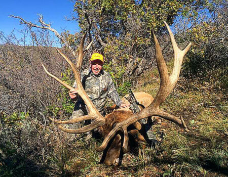 wta_797_DYYQ06_043_elkest-1