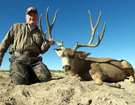 wta_79_2CAAM1_005_muledeer-25