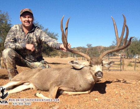 wta_79_7QT2UN_Sonora_05MuleDeer(24)