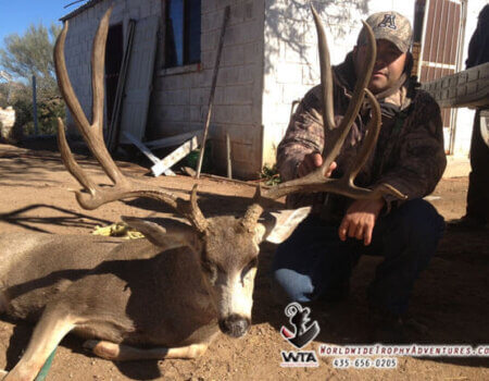 wta_79_99F7UN_Sonora_05MuleDeer(23)