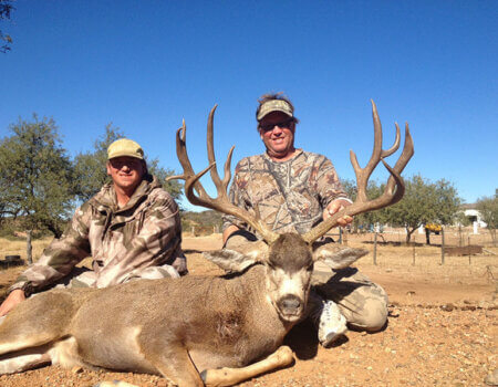 wta_79_DQZDJ4_Sonora_05MuleDeer(3)