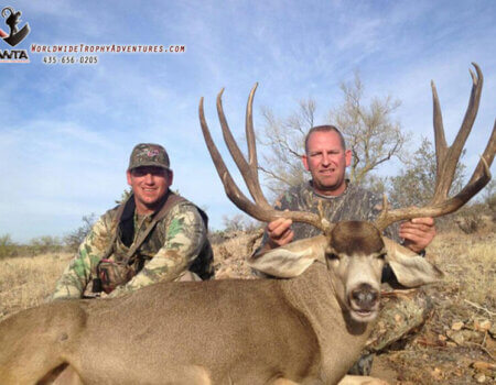 wta_79_FS1NJD_Sonora_05MuleDeer(19)