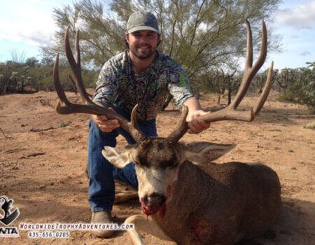 wta_79_H94XS1_Sonora_05MuleDeer(21)