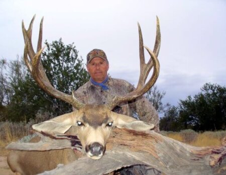 wta_79_SCLNMR_005_muledeer-35