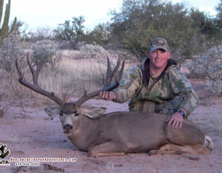 wta_79_VHNEJN_Sonora_05MuleDeer(14)