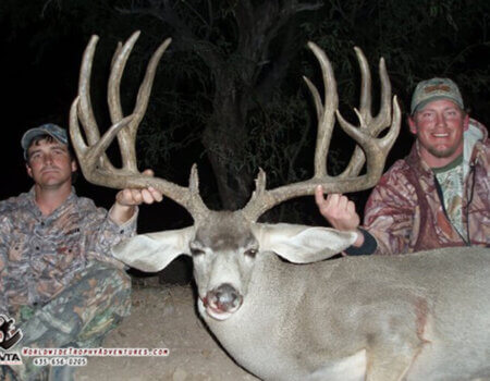 wta_79__featured_DS3VKQ_Sonora_05MuleDeer(16)