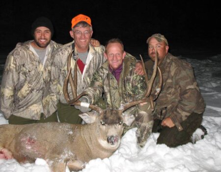 wta_800_7UKAR6_DAMuleDeer10