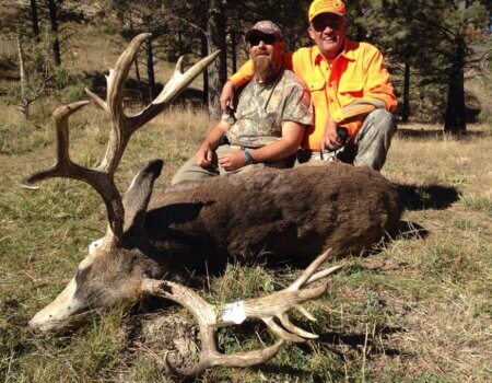 wta_800_C7HAHK_DAMuleDeer12