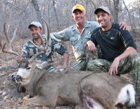 wta_800_NS2D33_DAMuleDeer9