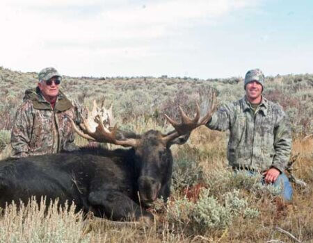 wta_803_1A76IJ_043_WYmoose-15