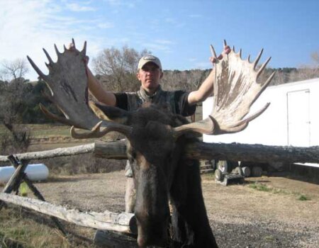 wta_803_4FGN9I_043_WYmoose-3