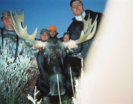 wta_803_5IUYDO_043_WYmoose-9