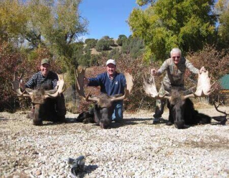 wta_803_BJFMZE_043_WYmoose-11