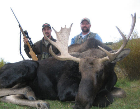 wta_803_CKHE8O_043_WYmoose-2