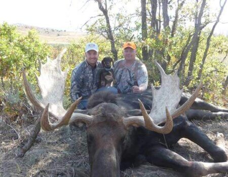 wta_803_IJB1RO_043_WYmoose-30