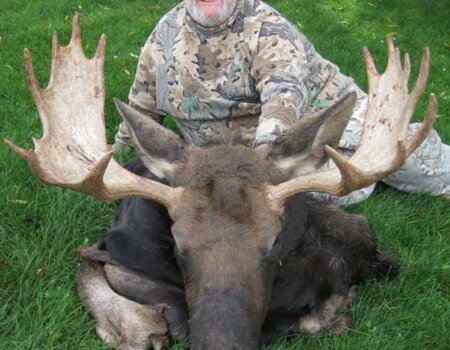 wta_803_K4YGQ5_043_WYmoose-20