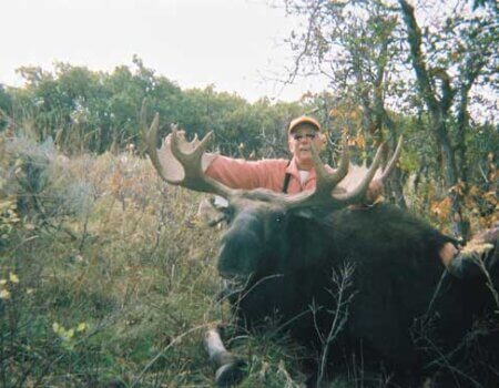 wta_803_NTNFQL_043_WYmoose-10