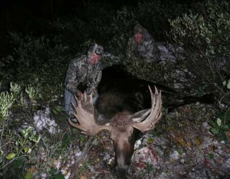 wta_803_RQPXFJ_043_WYmoose-16