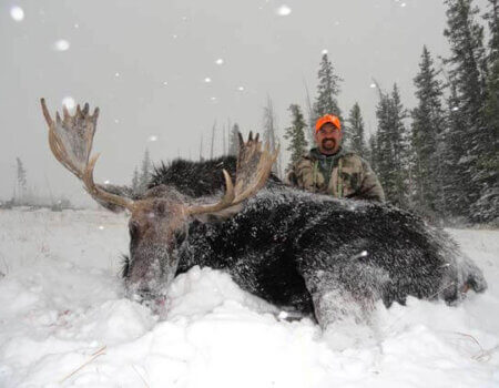 wta_803_YUSIXY_043_WYmoose-28