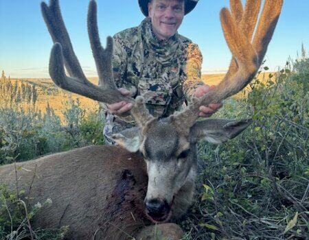 Wyoming mule deer