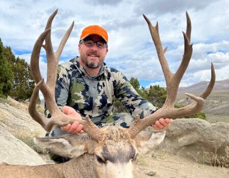 Wyoming mule deer