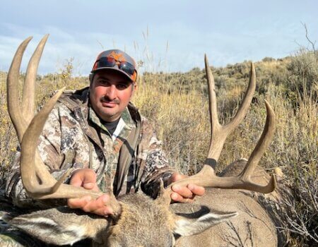Wyoming mule deer