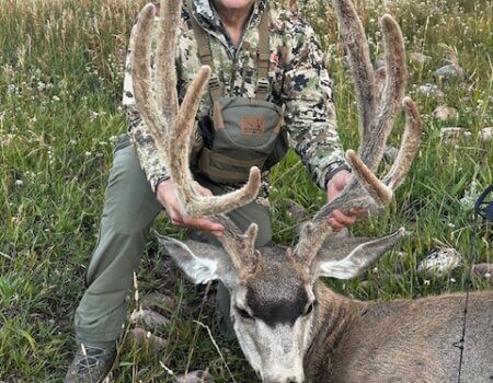Wyoming mule deer