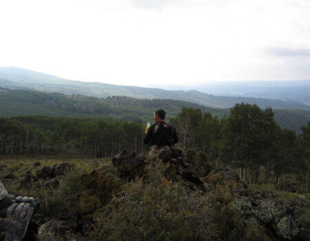 wta_80_TH20YP_006_UTElk(23)